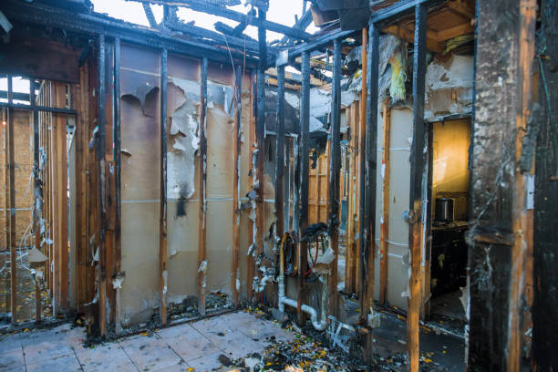 Professional Fire Damage Removal technician working in Bel Air South, MD